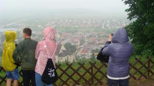 DSC03230(1)